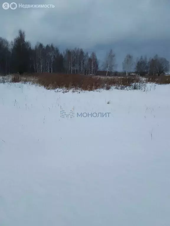 Участок в Нижегородская область, Богородский муниципальный округ, ... - Фото 1