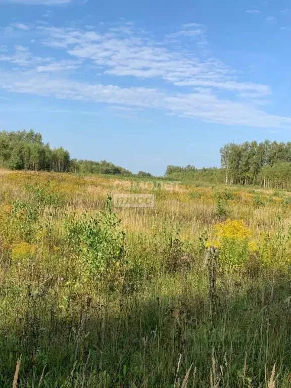 Участок в Нижегородская область, Кстовский муниципальный округ, с. ... - Фото 0