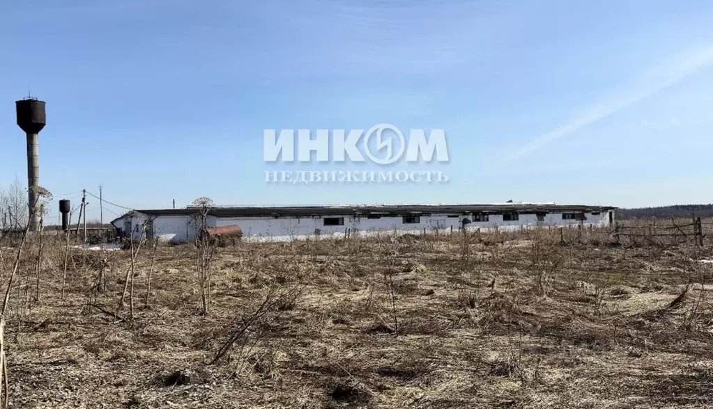 Производственное помещение в Московская область, Можайский ... - Фото 1