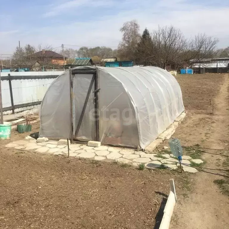 Участок в Амурская область, Благовещенск Амур СТ, 49 (7.29 сот.) - Фото 2