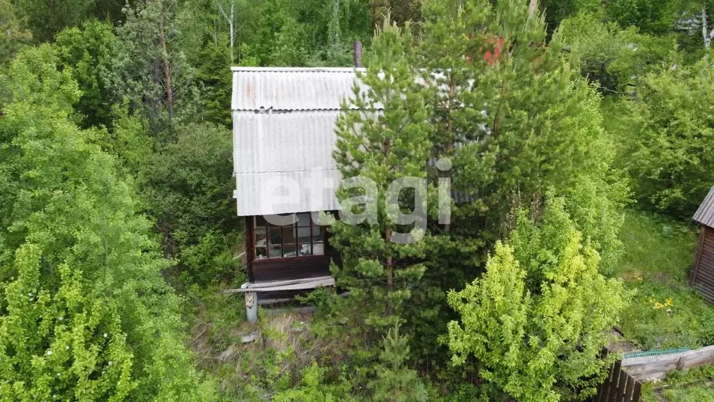 Участок в Красноярский край, Емельяновский район, Элитовский ... - Фото 0