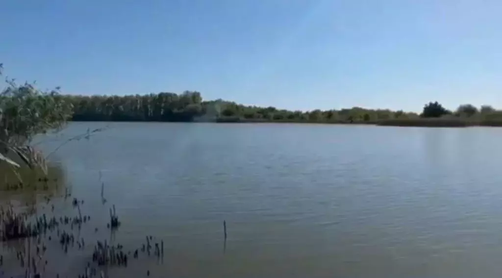 Участок в Краснодарский край, Кореновский район, Сергиевская ст-ца ... - Фото 0