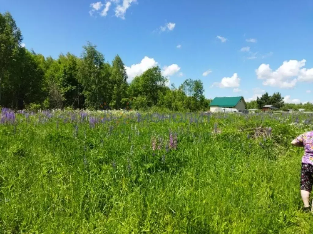 Купить Участок В Богородске Нижегородской