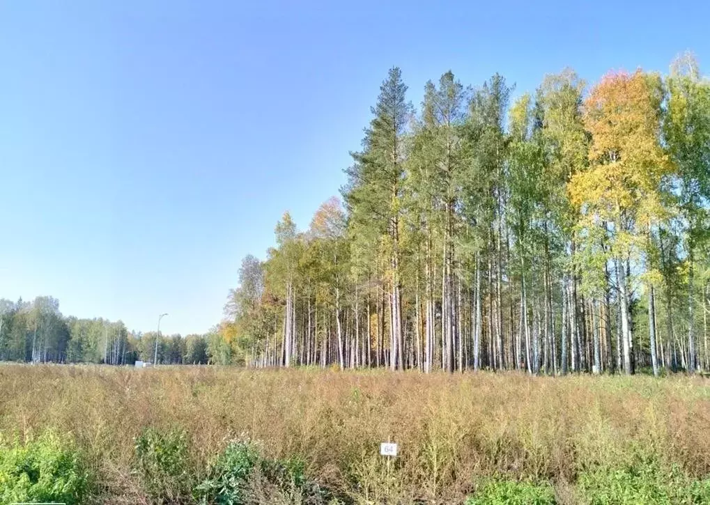 Участок в Свердловская область, Сысертский городской округ, пос. ... - Фото 1