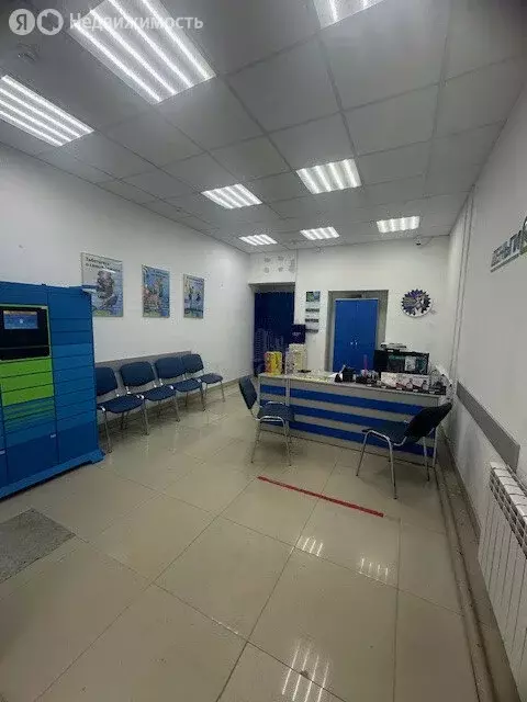 Торговая площадь (50.7 м) - Фото 2