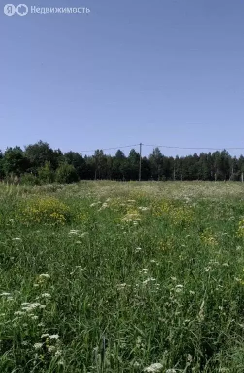 Участок в городской посёлок Толмачёво, улица Прохорова, 11 (12 м) - Фото 1