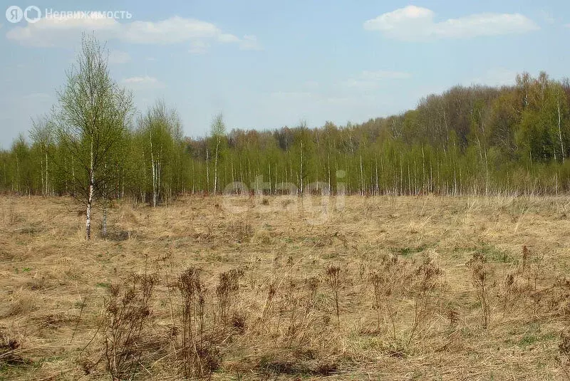 Участок в Ишимбайский район, село Скворчиха (10 м) - Фото 0