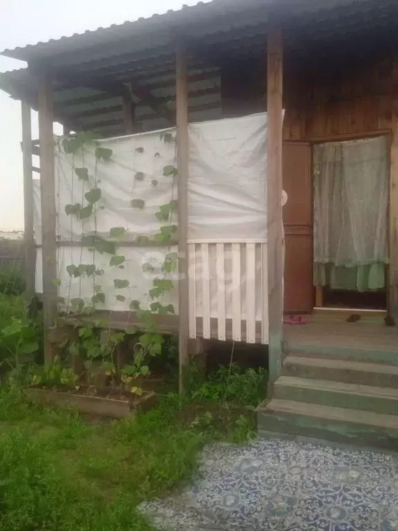 Дом в Иркутская область, Ангарск Еловка СНТ, ул. 4, 203 (28 м) - Фото 1