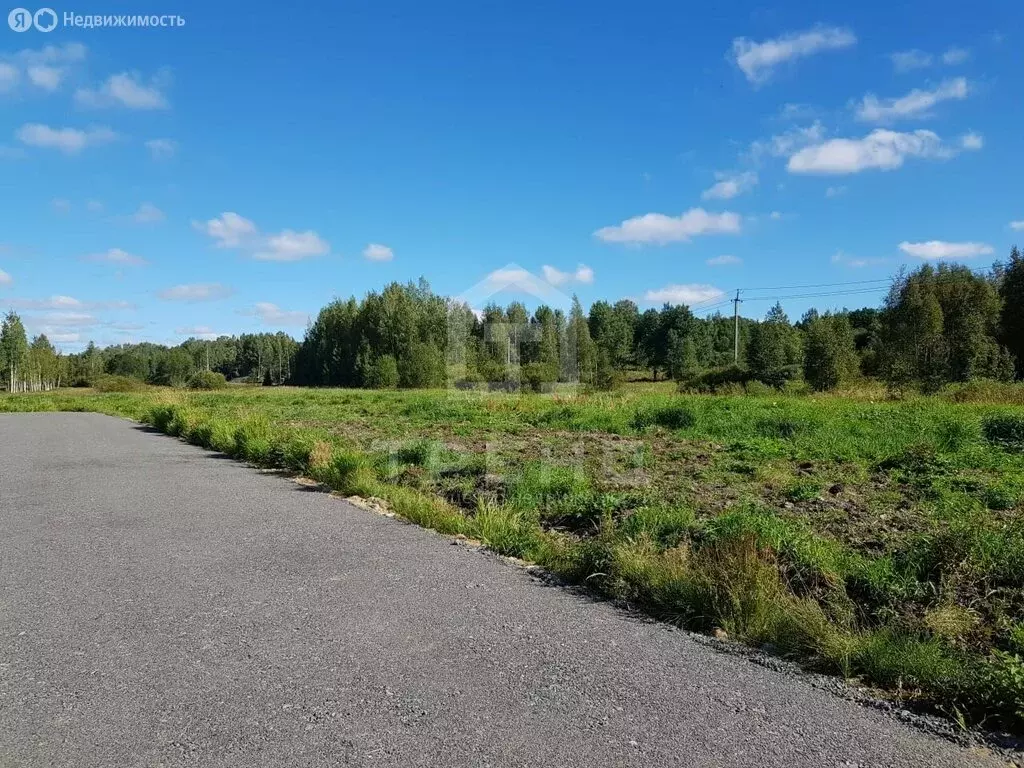 Участок в Куйвозовское сельское поселение, КП Грузино сити (6.02 м) - Фото 2