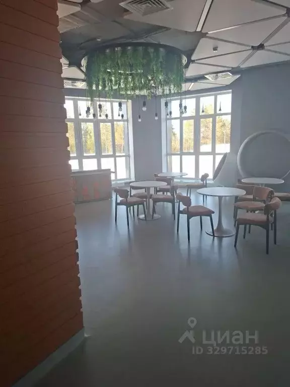 Помещение свободного назначения в Ямало-Ненецкий АО, Ноябрьск ул. ... - Фото 1
