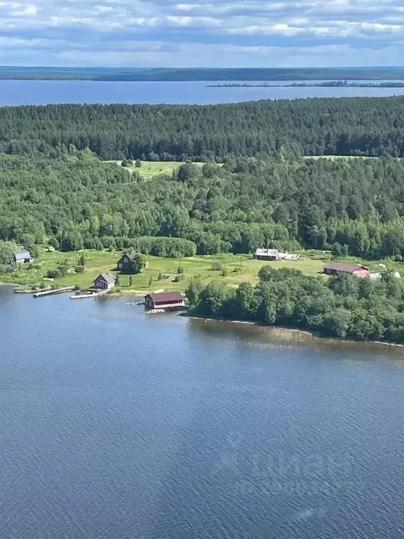 Дом в Карелия, Медвежьегорский муниципальный округ, д. Кривоноговская ... - Фото 0