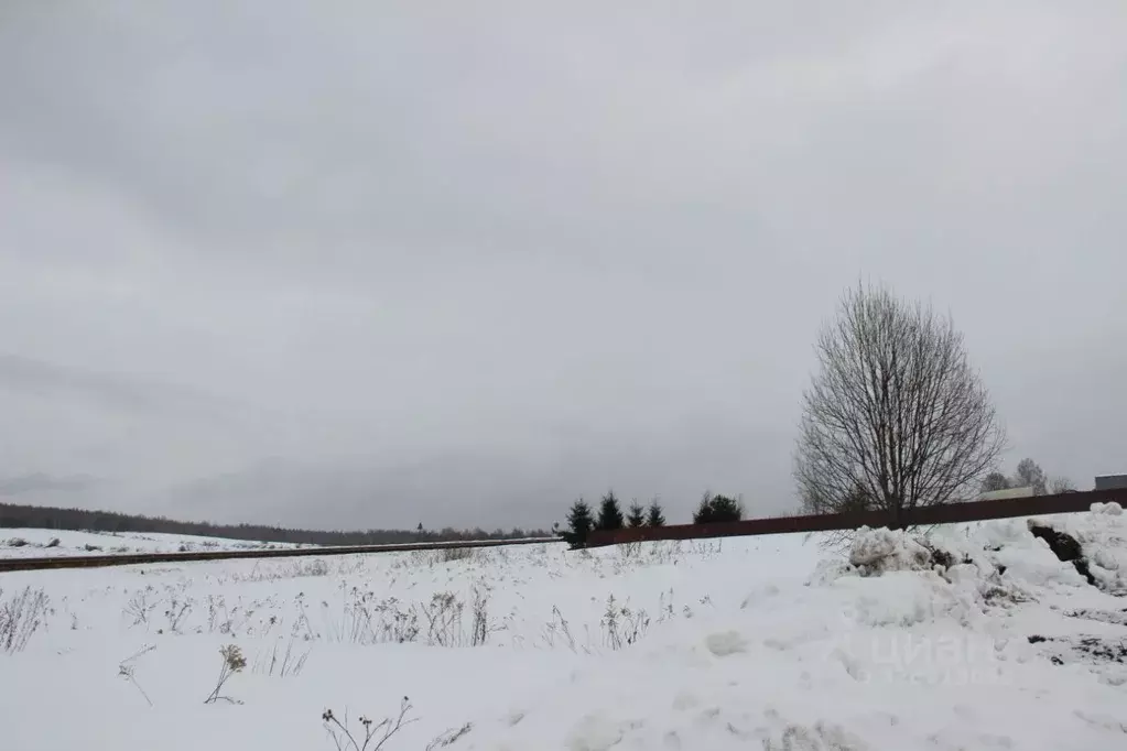 Участок в Московская область, Шаховская муниципальный округ, д. Якшино ... - Фото 2