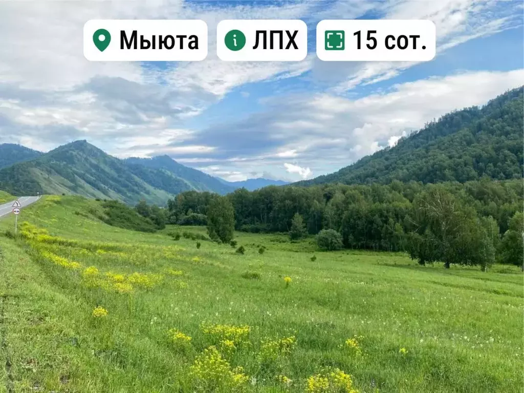 Участок в Алтай, Шебалинский район, с. Мыюта Российская ул. (15.0 ... - Фото 1
