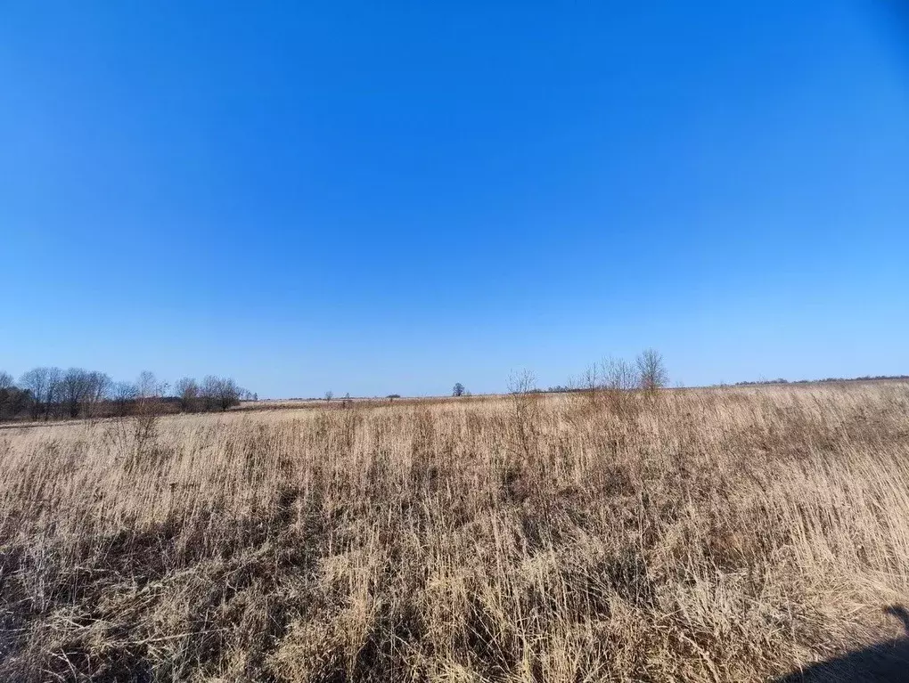 Участок в Владимирская область, Кольчугинский район, Ильинское ... - Фото 2