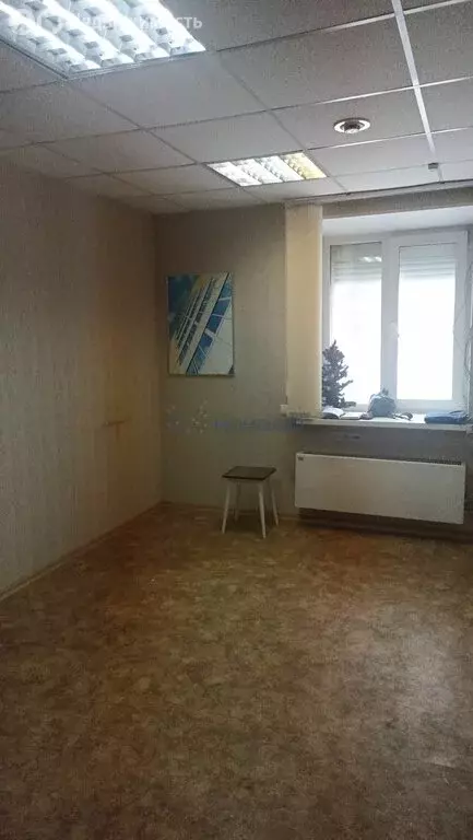 Офис (58.5 м) - Фото 2