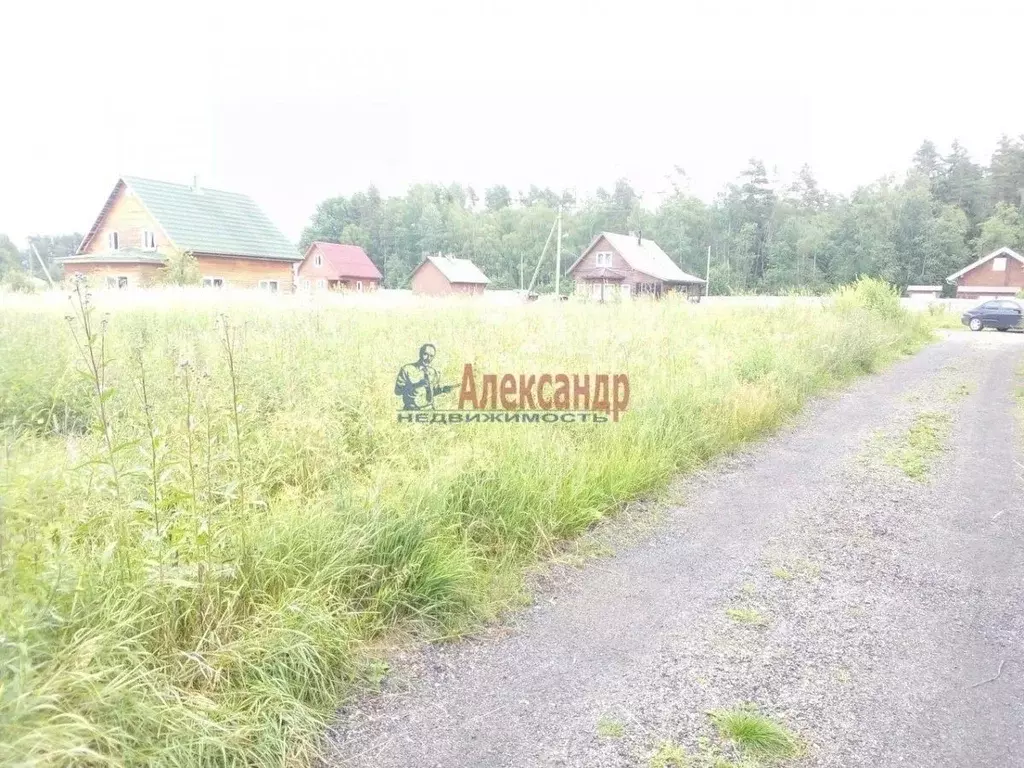 Участок в Ленинградская область, Приозерский район, Раздольевское ... - Фото 2