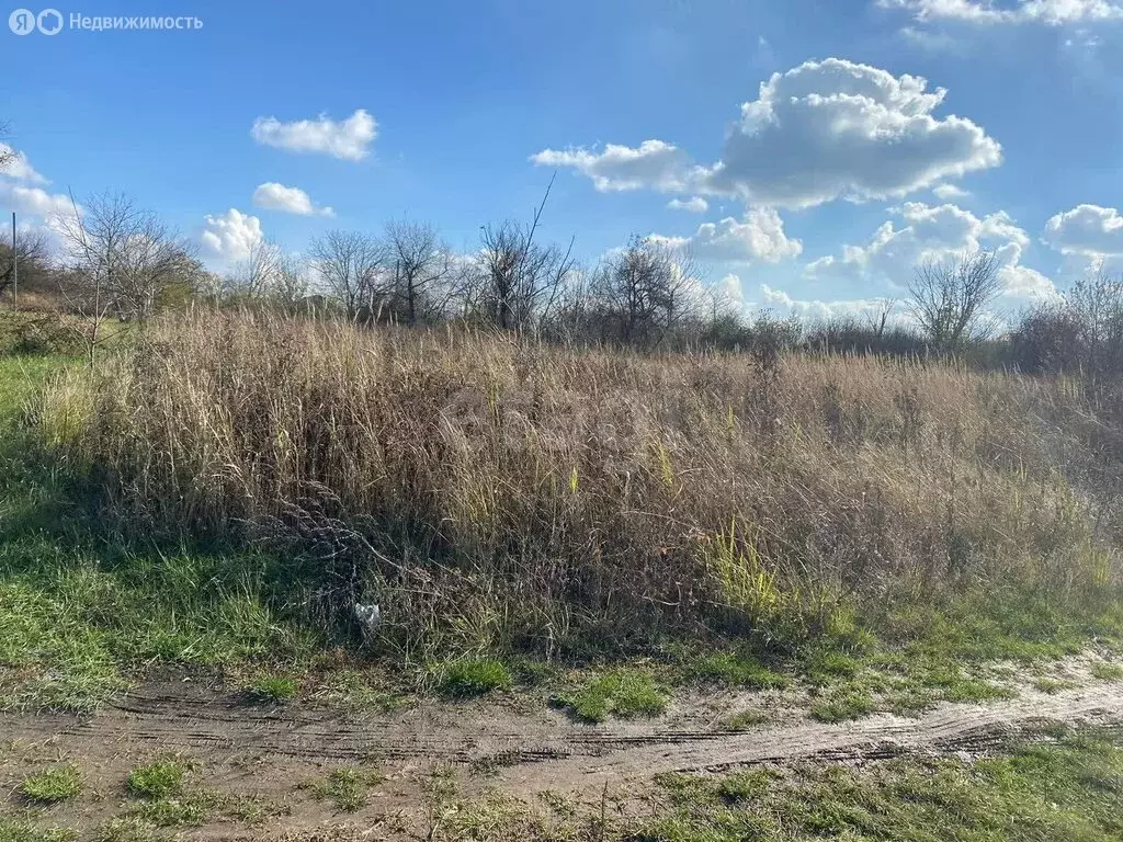 Участок в станица Медведовская, улица Чкалова (4 м) - Фото 2