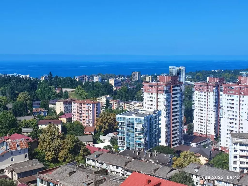 Студия Краснодарский край, Сочи Альпийская ул., 27А (26.0 м) - Фото 2