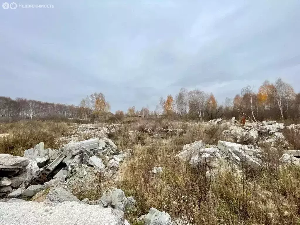 Участок в Тюмень, территория СОСН Солнечная Поляна, улица Поле Чудес ... - Фото 0