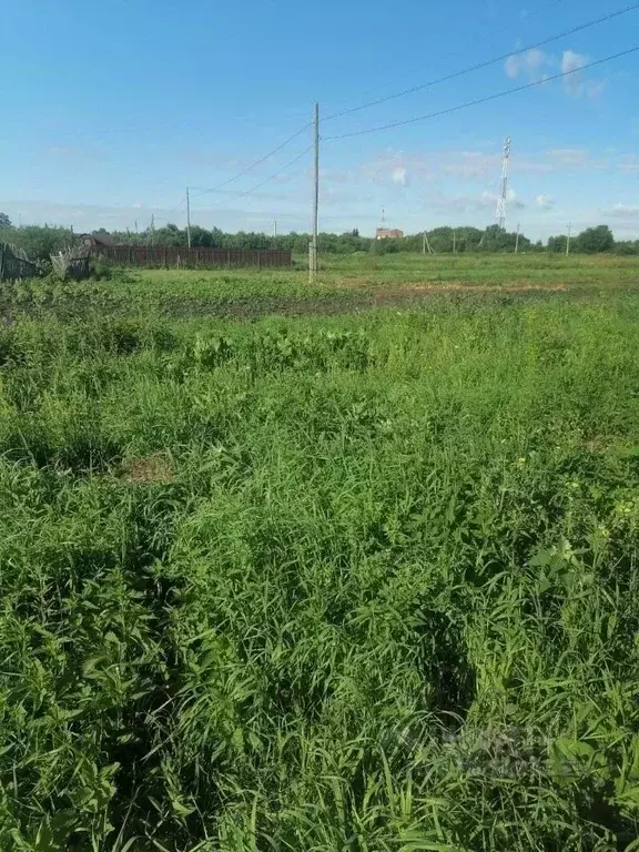 Участок в Омская область, Омский район, с. Пушкино ул. Ленина (9.0 ... - Фото 2