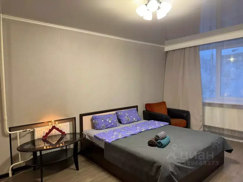 Студия Мурманская область, Мурманск ул. Полярные Зори, 45к1 (32.0 м) - Фото 2