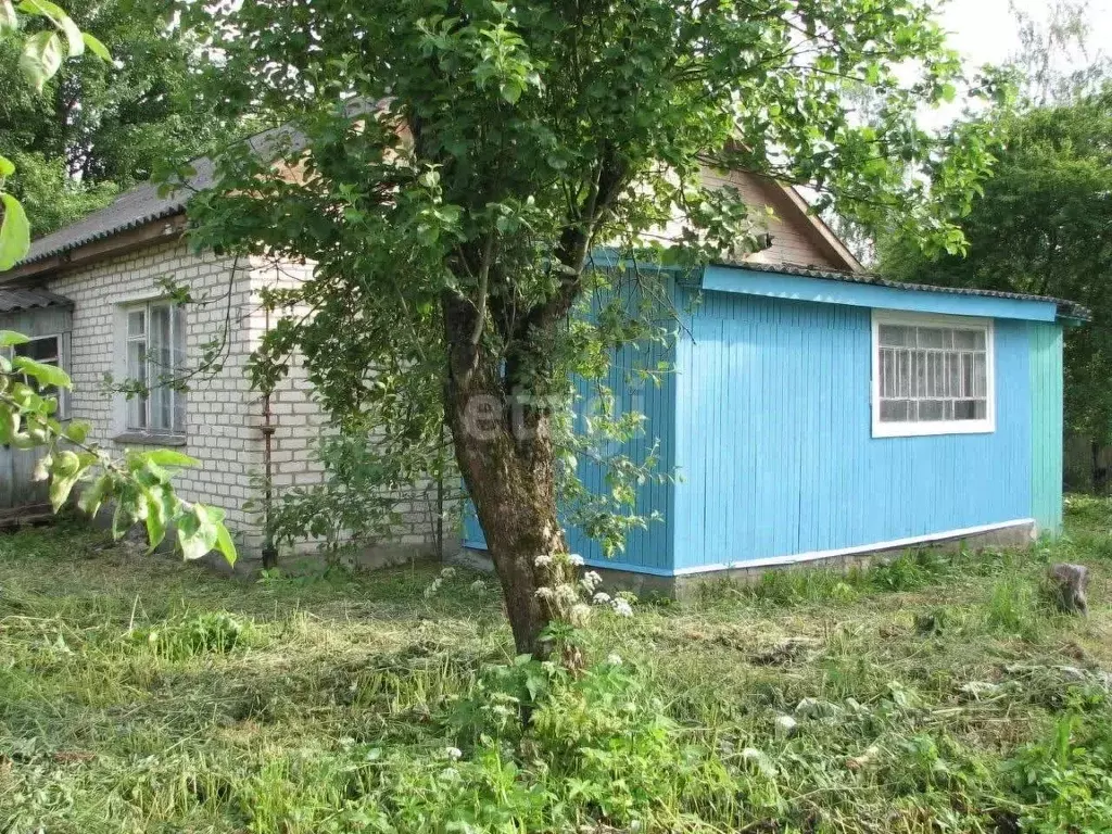 Дом в Смоленская область, Починковский муниципальный округ, пос. ... - Фото 1