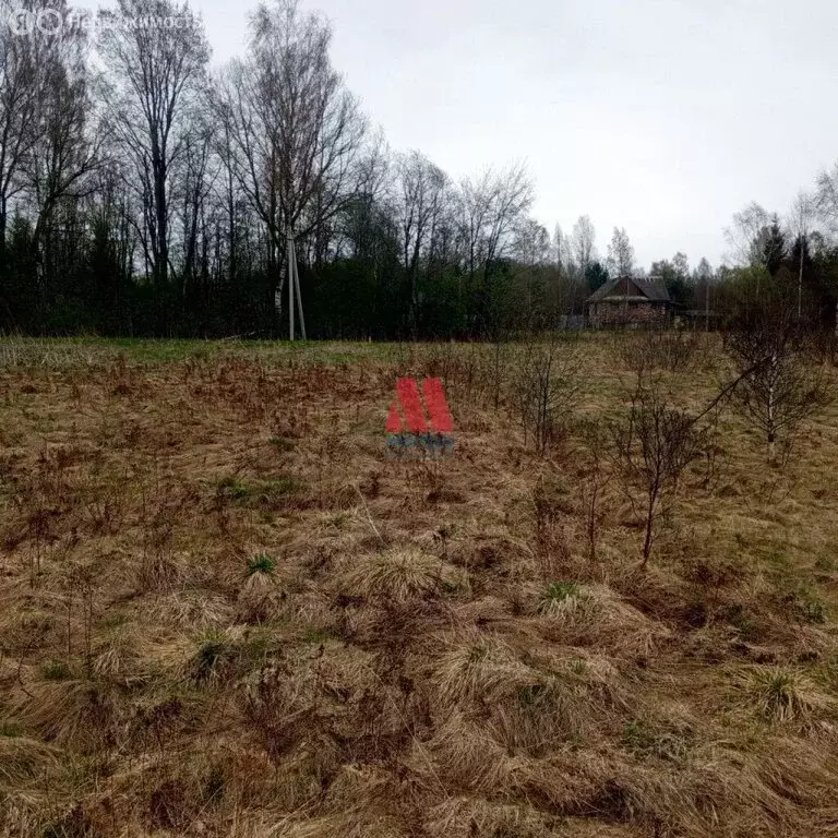Участок в Ярославская область, Рыбинский муниципальный округ, ... - Фото 1