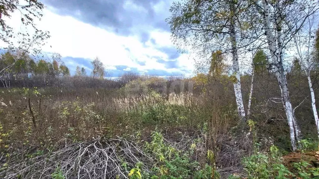 Участок в Тюменская область, Тюмень Поле Чудес садовое товарищество, ... - Фото 1