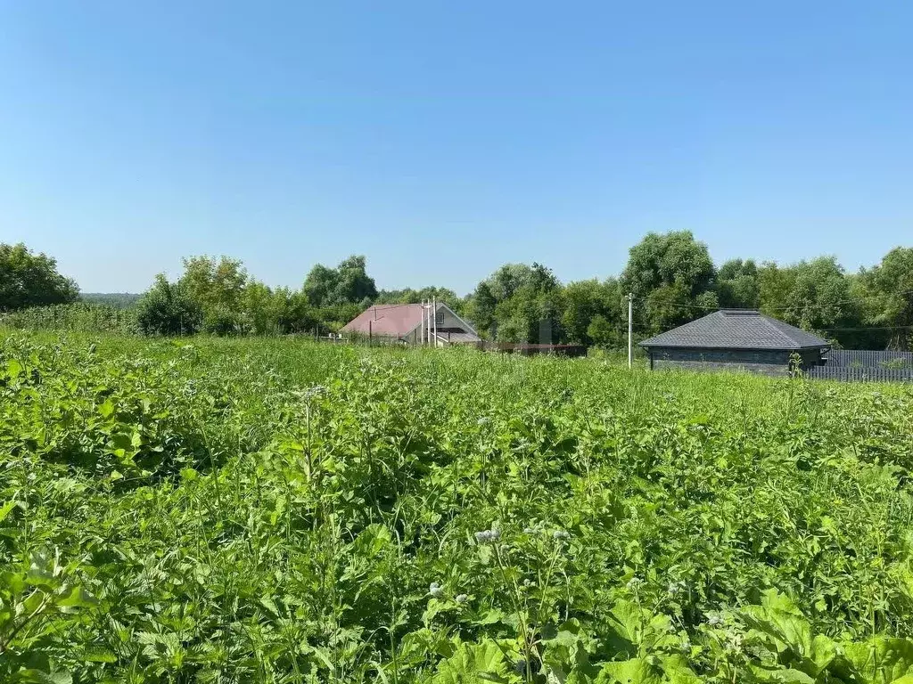 Участок в Татарстан, Казань Чебакса жилмассив, ул. Зеленая (9.81 сот.) - Фото 1