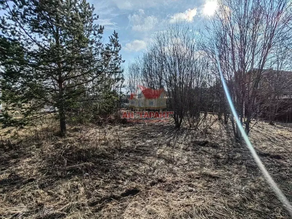 Участок в Владимирская область, Александровский район, Каринское ... - Фото 0