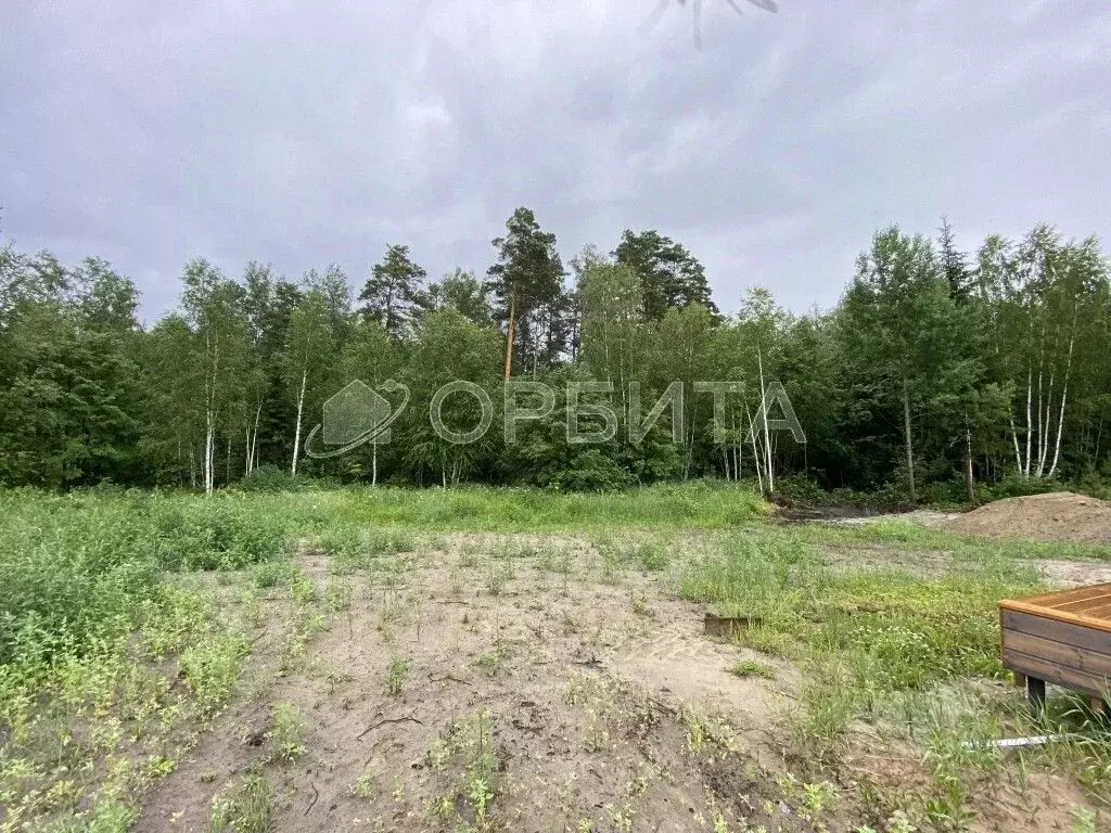 Дом в Тюменская область, Нижнетавдинский район, с. Тюнево ул. ... - Фото 1
