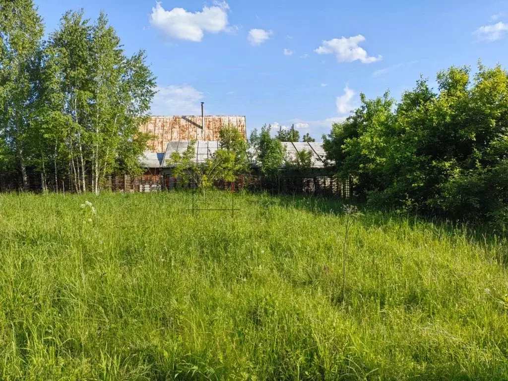 Участок в Новосибирская область, Новосибирский район, Березовский ... - Фото 0