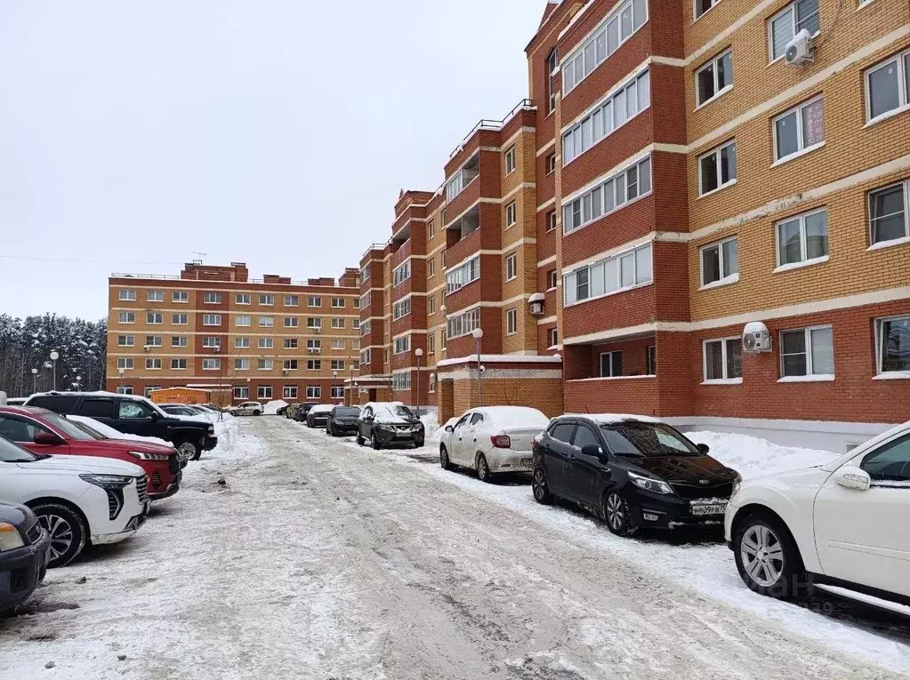 Студия Московская область, Щелково городской округ, д. Большие ... - Фото 1