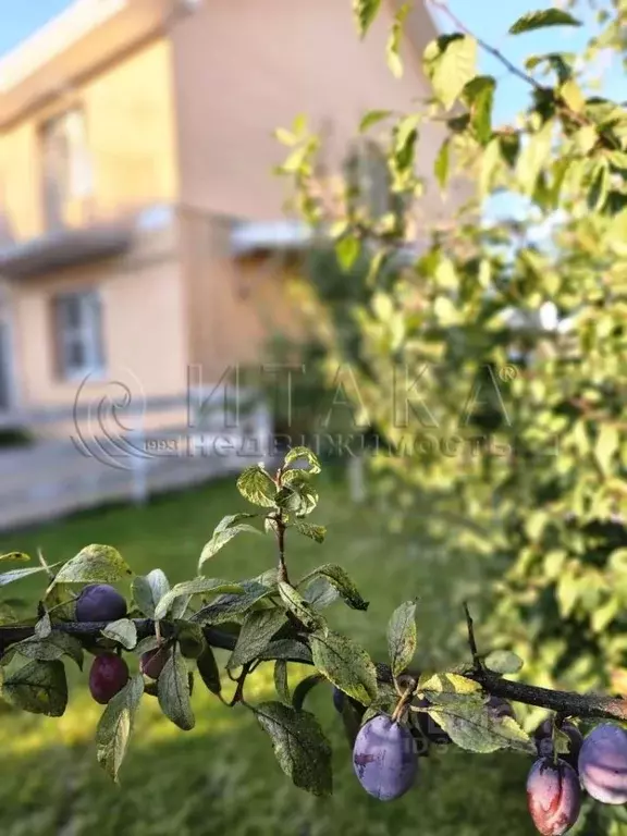 Таунхаус в Ленинградская область, Ломоносовский район, Ропшинское ... - Фото 2