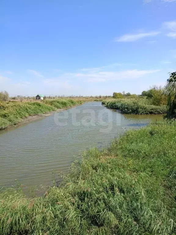 Участок в Ростовская область, Азовский район, Рогожкино хут. Степная ... - Фото 1