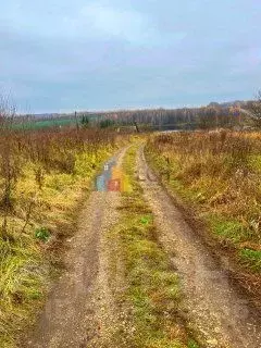 Участок в Тульская область, Одоевский район, Южно-Одоевское с/пос, ... - Фото 2