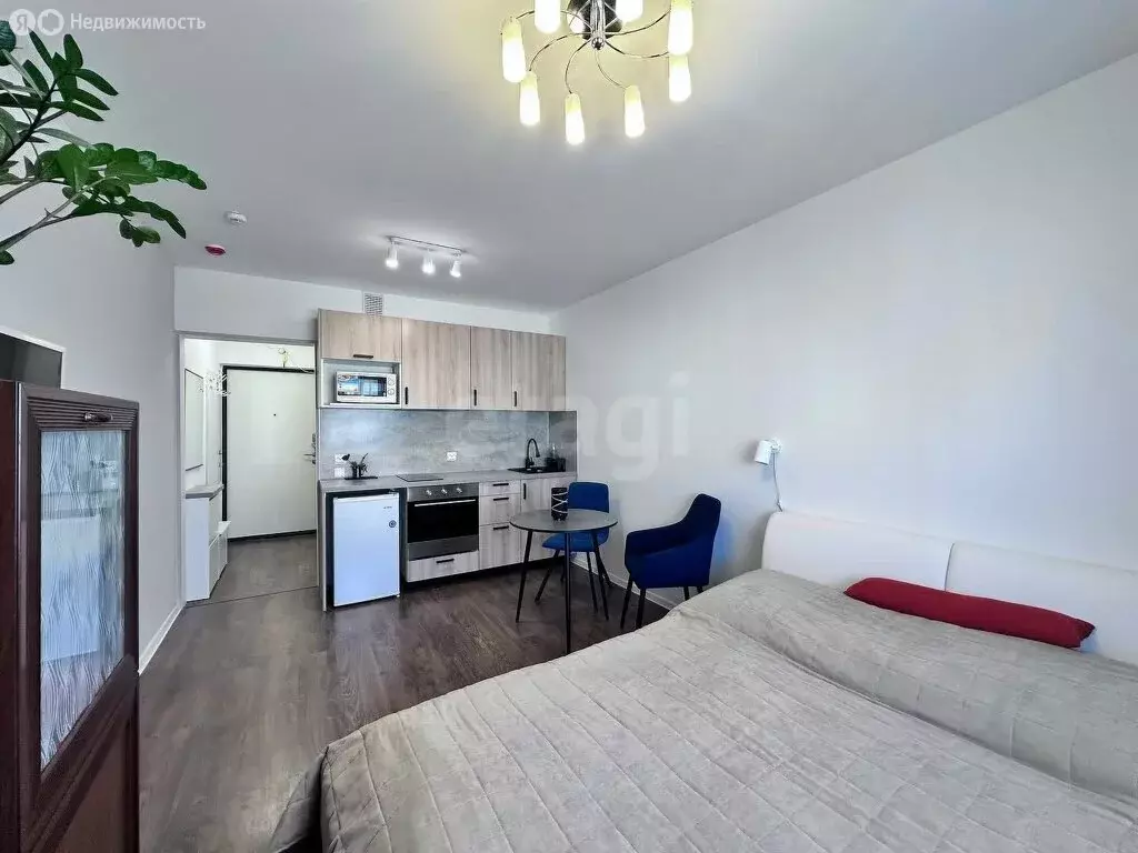 Квартира-студия: Санкт-Петербург, Пейзажная улица, 30 (20.5 м) - Фото 1