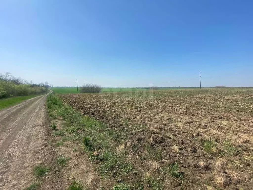 Участок в Краснодарский край, Ейск ул. Александра Вострикова (6.8 ... - Фото 2