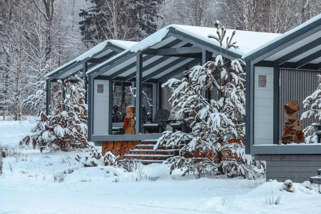 Дом в Ярославская область, Переславль-Залесский муниципальный округ, ... - Фото 2