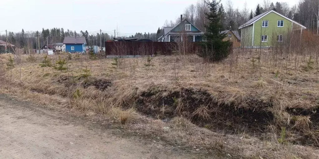 Участок в Ленинградская область, Приозерский район, Красноозерное ... - Фото 0