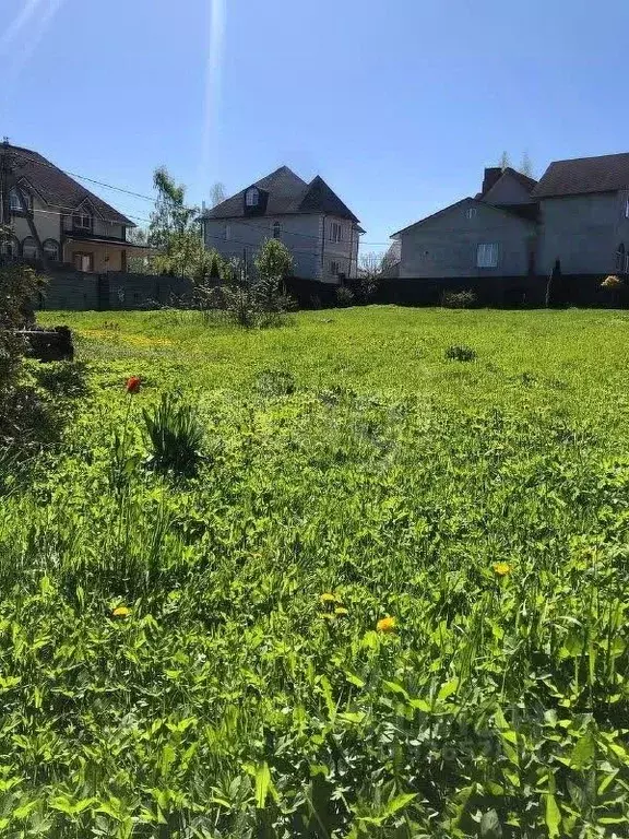 Участок в Москва Язово СНТ, 366с1 (4.0 сот.) - Фото 2