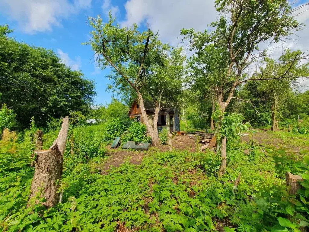 Участок в Брянская область, Брянск Коммунальник садовое общество,  ... - Фото 1