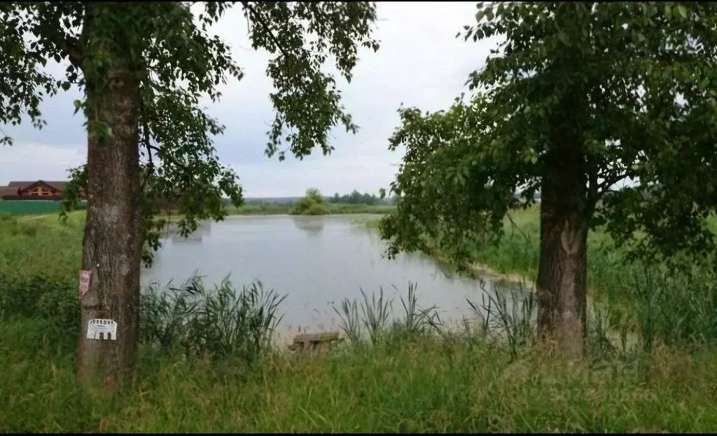 Участок в Московская область, Дмитровский городской округ, д. Орево  ... - Фото 1