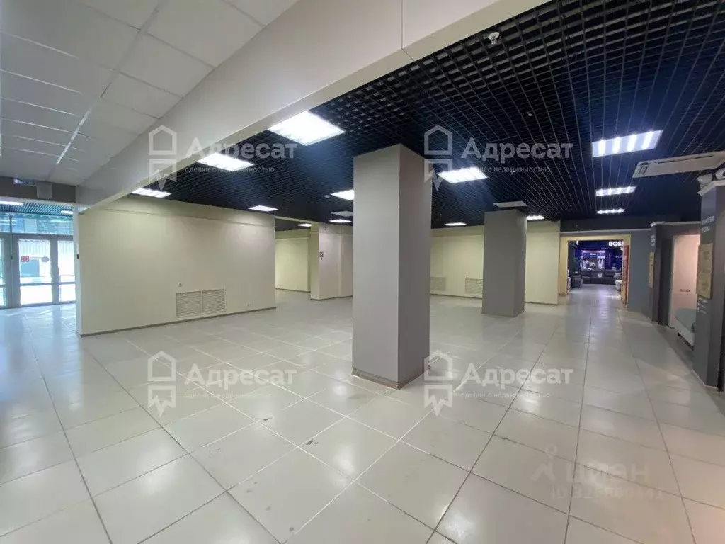 Офис в Волгоградская область, Волгоград Козловская ул., 55 (84 м) - Фото 2