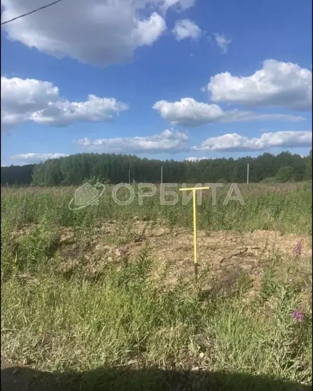Участок в Тюменская область, Тюменский муниципальный округ, с. Кулига, ... - Фото 0