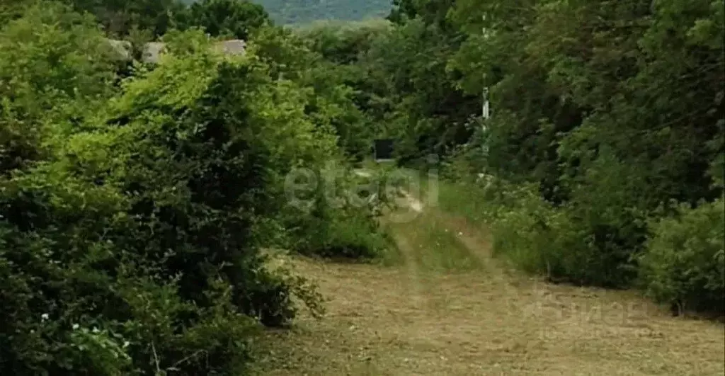 Участок в Крым, Кировский район, Первомайское с/пос, Заря СНТ ул. ... - Фото 1