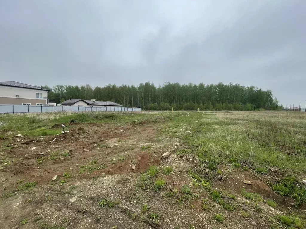 Участок в Челябинская область, Сосновский район, Кременкульское с/пос, ... - Фото 0