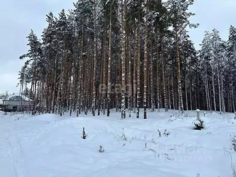 Участок в Нижегородская область, Нижний Новгород ул. Александра ... - Фото 1