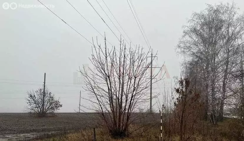 Участок в село Озёрки (4.4 м) - Фото 1