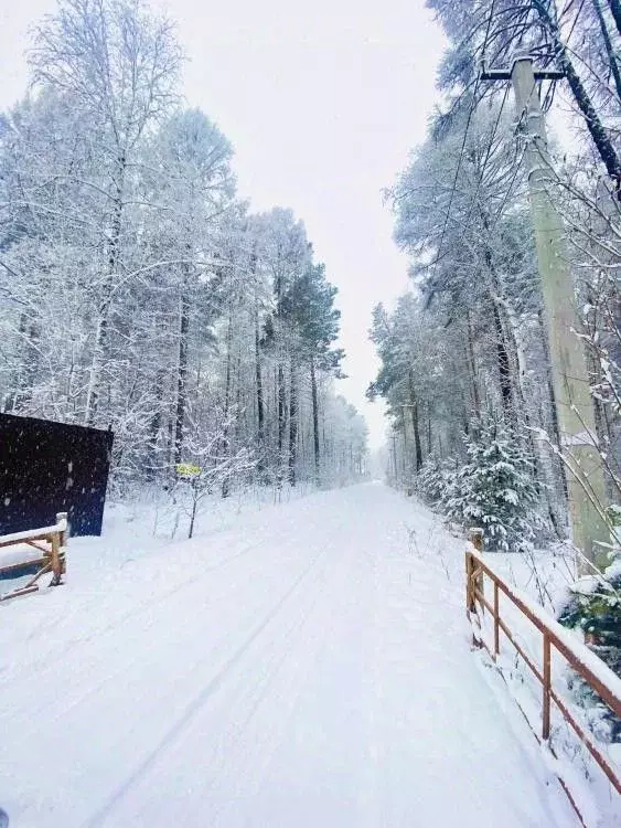 Участок в Иркутская область, Иркутский муниципальный округ, Петровская ... - Фото 2